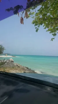 2019-05-11 12.56.09.webp