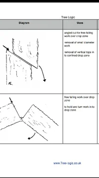 2019-05-11 23.12.10.webp