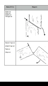2019-05-11 23.41.47.webp