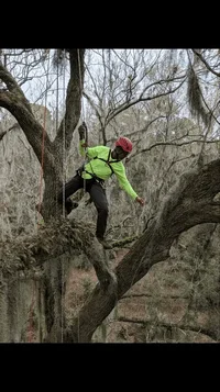 2019-05-12 15.38.15.webp