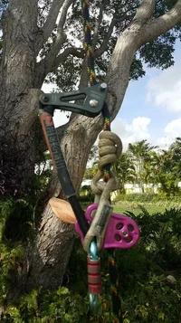 2019-05-25 07.47.07.webp