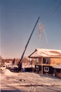 52925-treeinhousecrane.webp