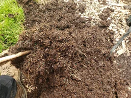 20190529_120957.webp 20190529_120957.webp