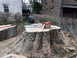 20190322_145153.webp 20190322_145153.webp