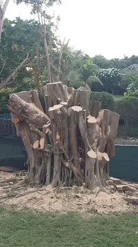 2019-06-04 22.45.58.webp