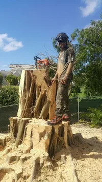 2019-06-04 22.45.22.webp