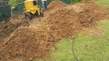 2019-06-04 22.44.55.webp