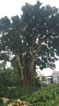 2019-06-04 23.28.38.webp