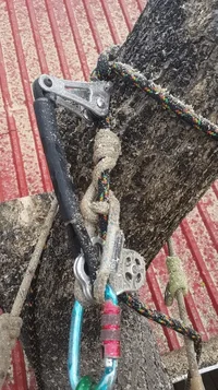 2019-06-07 22.29.05.webp