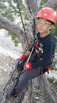 2019-07-03 13.10.00.webp