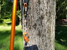 20190714_085543.webp