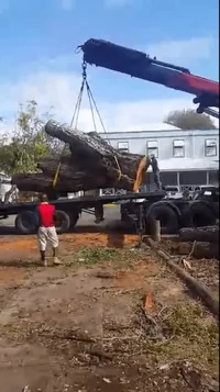 2019-07-14 21.03.24.webp