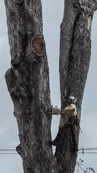 2019-07-14 21.26.42.webp