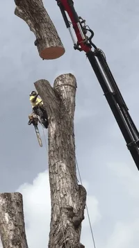 2019-07-14 21.20.21.webp