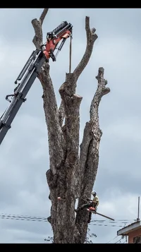 2019-07-14 21.22.34.webp