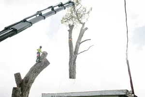 2019-07-14 21.33.00.webp