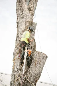 2019-07-14 21.34.08.webp