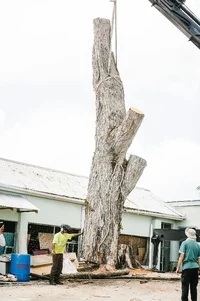 2019-07-14 21.35.32.webp