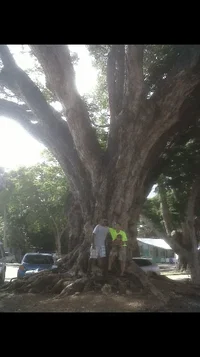 2019-07-14 22.42.37.webp