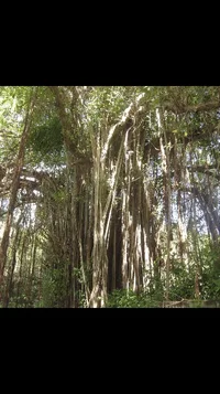 2019-07-15 07.10.42.webp