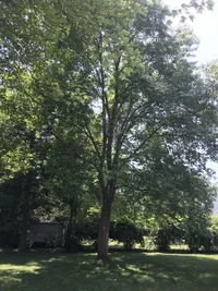 IMG_4936.jpg IMG_4936.jpg