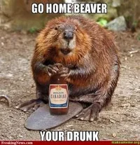 GO-HOME-BEAVER.webp