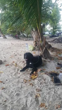 2019-08-12 21.20.12.webp