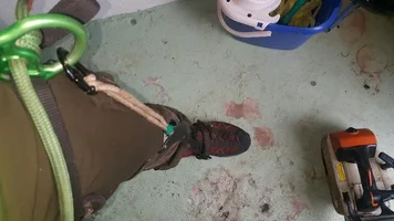 2019-08-14 17.20.54.webp