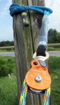 StemChokeDdRT-2LR.jpg StemChokeDdRT-2LR.jpg