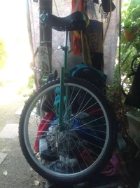 image.webp image.webp