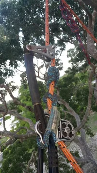 2019-09-08 22.28.39.webp