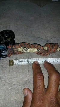 2019-09-14 20.19.48.webp