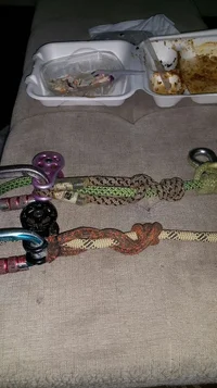 2019-09-14 20.26.57.webp