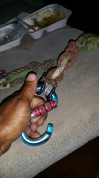 2019-09-14 20.44.14.webp