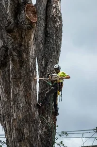 2019-09-14 20.58.49.webp