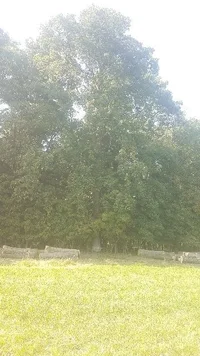 20190930_142705-360x640.webp 20190930_142705-360x640.webp