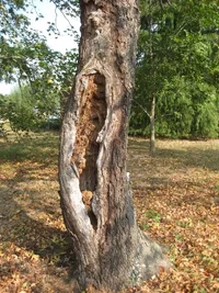 south 1.jpg south 1.jpg