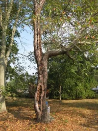 south 2.jpg south 2.jpg