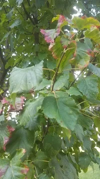 20190930_163141 (Small).webp