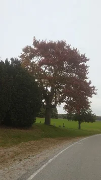 20191021_110717 (Small).webp