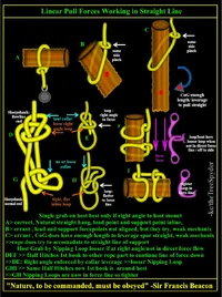 linear-pull-forces-working-in-straight-line -.png