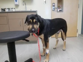 20190423_083304(0).webp 20190423_083304(0).webp