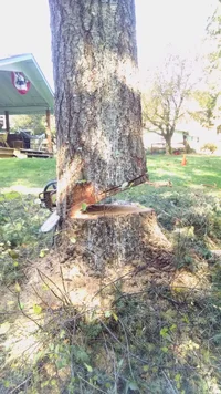 IMG_20191024_124756405.webp IMG_20191024_124756405.webp