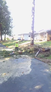 IMG_20191024_124732733.webp IMG_20191024_124732733.webp