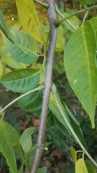 20191028_180540 (Medium).webp