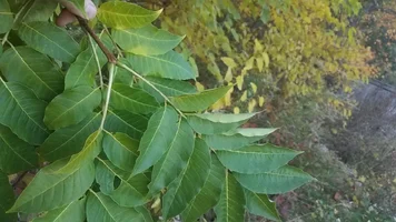 20191028_180550 (Medium).webp