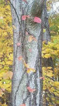 20191028_181403 (Medium).webp