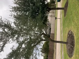 36DA778C-E77E-4440-AC2F-06BD4C32B964.webp 36DA778C-E77E-4440-AC2F-06BD4C32B964.webp