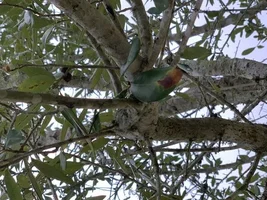 7C37DF8A-AA78-4195-A491-530F779B4AA7.webp 7C37DF8A-AA78-4195-A491-530F779B4AA7.webp