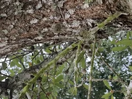 362FFA89-5E21-48E4-A8C9-E5992CD477B6.webp 362FFA89-5E21-48E4-A8C9-E5992CD477B6.webp